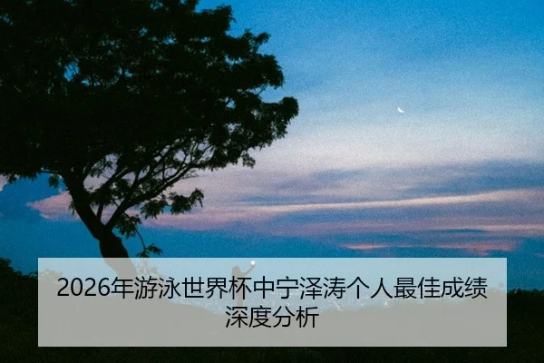 nian-you-yong-shi-jie-bei-zhong-ning-ze-tao-ge-ren-zui-jia-cheng-ji-shen-du-fen-xi-2-485.jpg