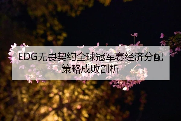 EDG无畏契约全球冠军赛经济分配策略成败剖析