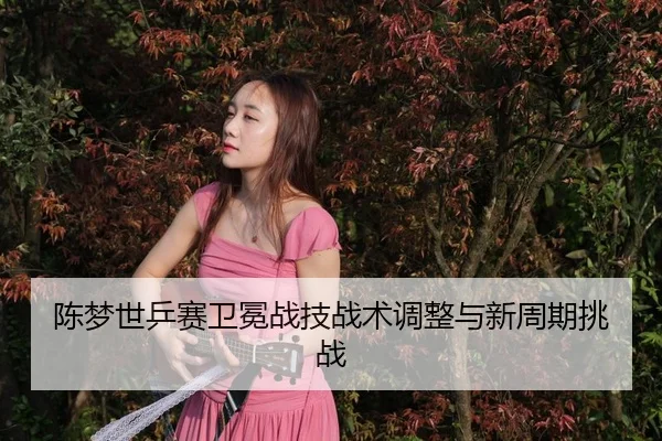 chen-meng-shi-ping-sai-wei-mian-zhan-ji-zhan-shu-tiao-zheng-yu-xin-zhou-qi-tiao-zhan-2-901.jpg