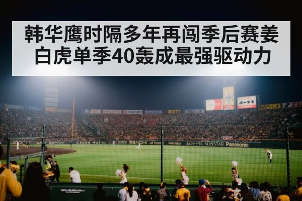 baseball stadium night lights